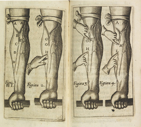 William Harvey - Exercitationes anatomicae