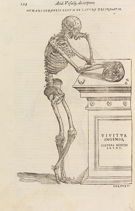 Andreas Vesalius - Anatomia - 