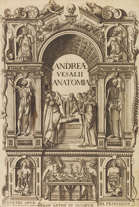 Andreas Vesalius - Anatomia - 
