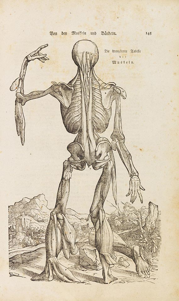 Heinrich Leveling - Anatomische Erklärung der Original-Figuren von Andreas Vesal