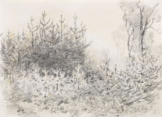 Wilhelm Busch - 3 Bll.: Zwei Kühe (Bl. 1). Waldinneres mit Brücke über Bach (Bl. 2). Haus hinter Bäumen und Sträuchern, verso: Tannenschonung im Wald (Bl. 3) - 