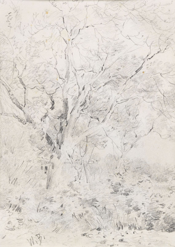Wilhelm Busch - 3 Bll.: Zwei Kühe (Bl. 1). Waldinneres mit Brücke über Bach (Bl. 2). Haus hinter Bäumen und Sträuchern, verso: Tannenschonung im Wald (Bl. 3) - 