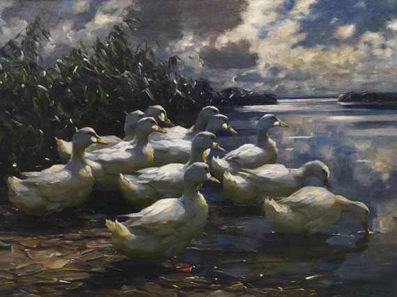 Alexander Koester - 11 Enten in der Morgensonne