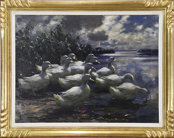 Alexander Koester - 11 Enten in der Morgensonne - Frame image