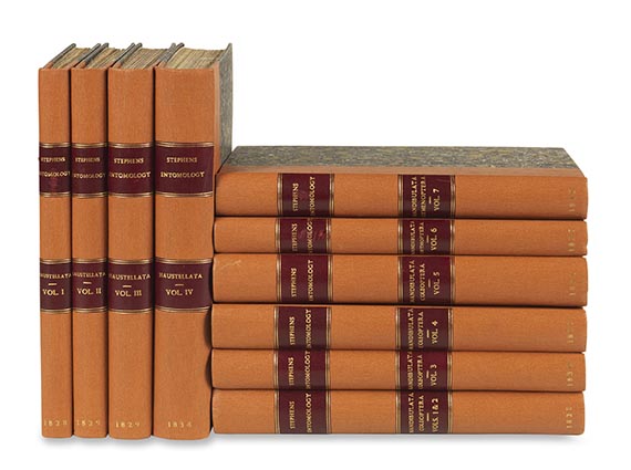 James Francis Stephens - Illustrations of British Entomology - 