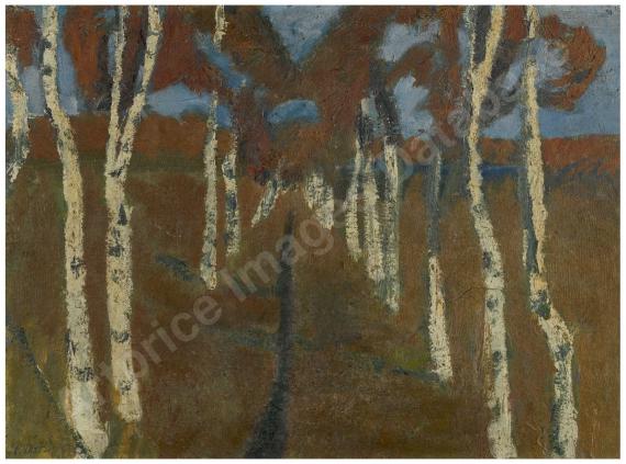 Birkenweg (Path with...