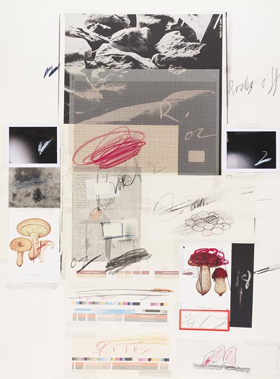 Cy Twombly - Natural History Part I, Mushrooms - 