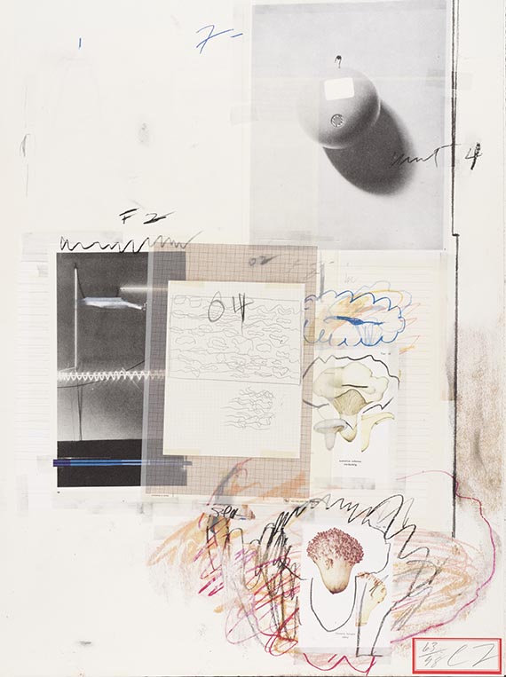 Cy Twombly - Natural History Part I, Mushrooms - 