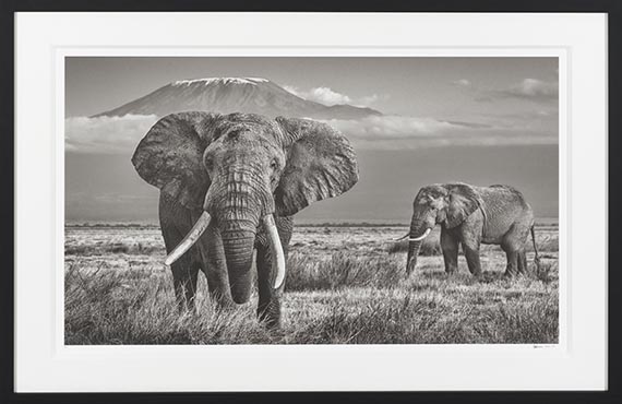 David Yarrow - The Witness - Frame image