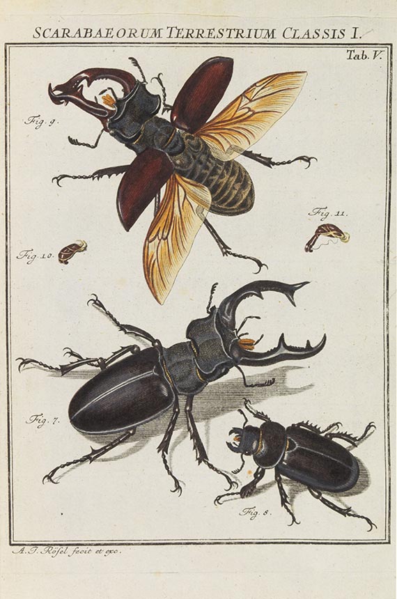 Augustin Johann Rösel von Rosenhof - Der monatlich-herausgegebenen Insecten-Belustigung - 