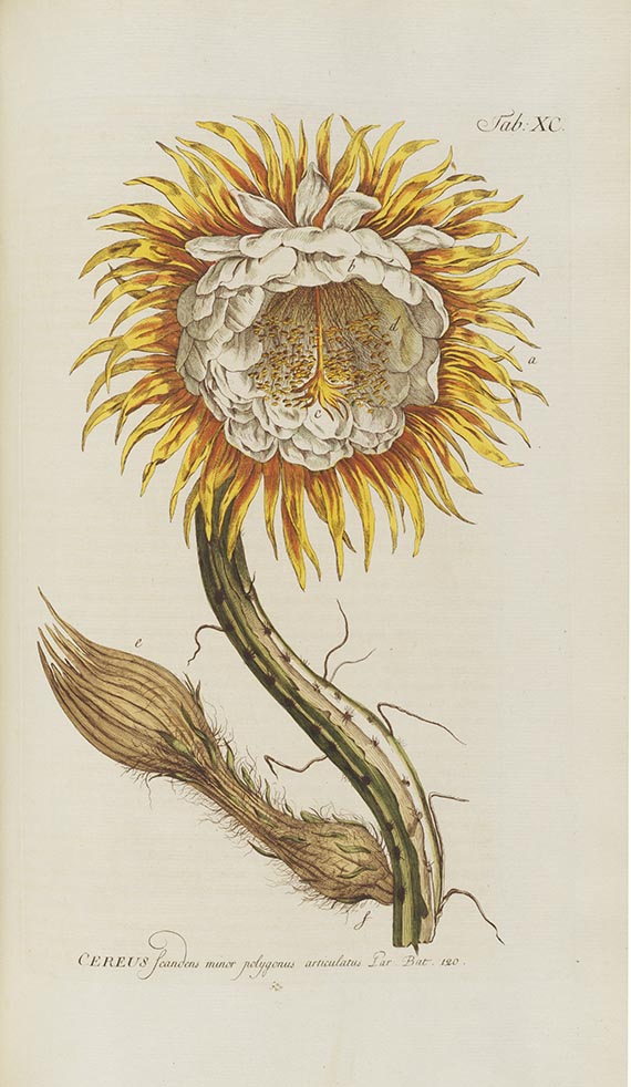 Philipp Miller - Abbildungen der Pflanzen zu seinem Gärtnerlexicon