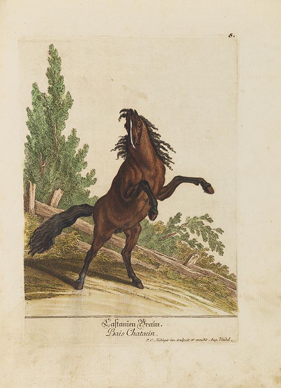 Johann Elias Ridinger - Hier zeig sich Rapp Braun Fuchs ... Vorstellung der Pferde nach ihren Hauptfarben