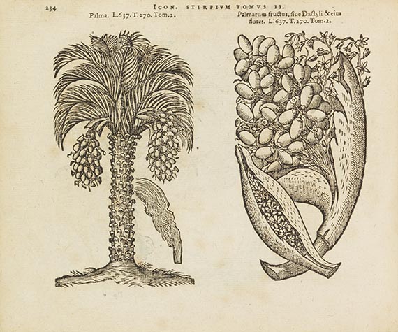 Matthias de Lobel - Icones stirpium