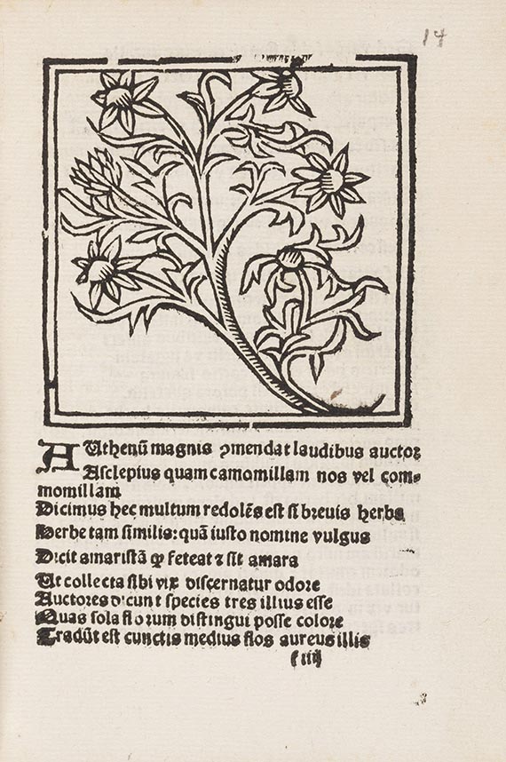  Macer Floridus - Herbarum varias - 