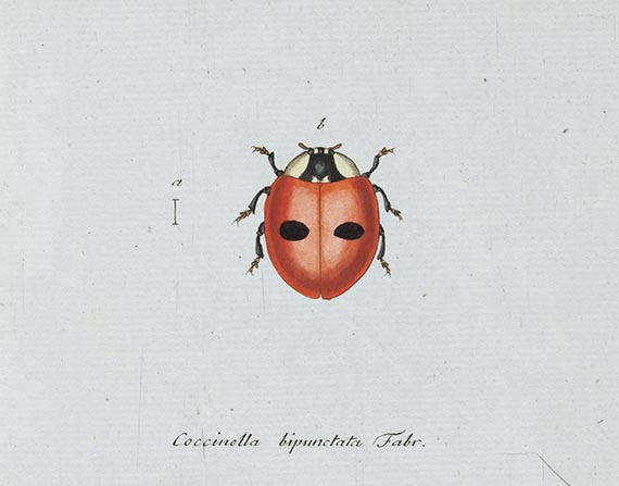 Georg Wolfgang Franz Panzer - Faunae insectorum Germanicae Initia. 190 Hefte und Index in 51 Bänden.