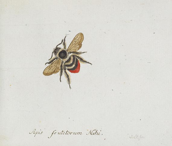 Georg Wolfgang Franz Panzer - Faunae insectorum Germanicae Initia. 190 Hefte und Index in 51 Bänden. - 