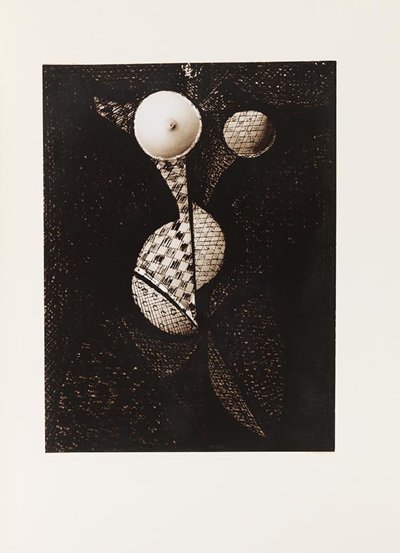  Brassai - Transmutations - 