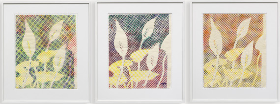 Sigmar Polke - Kallablüten (3-teilig) - Frame image