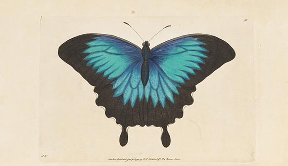 George Shaw - Vivarium naturae ... The Naturalist's Miscellany - 
