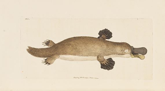 George Shaw - Vivarium naturae ... The Naturalist's Miscellany - 