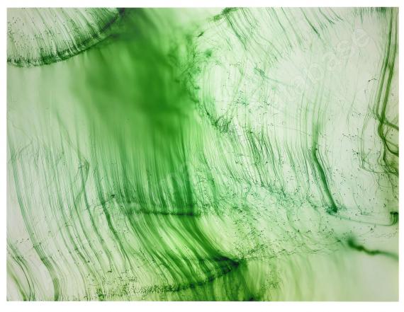 WOLFGANG TILLMANSFreischwimmer 39, 20...