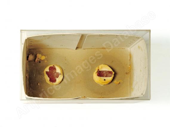 Wechselstromaggregat (1968)
Skulptur (oil (Braunkreuz) and pencil,...