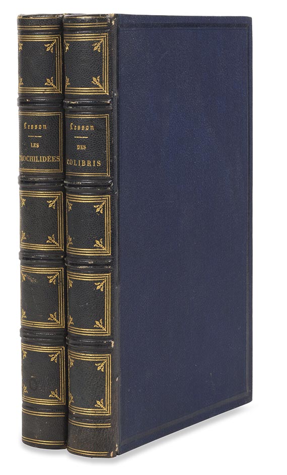 Réne-Primevère Lesson - Histoire naturelle des colibris, suivie d'un supplement (&) Les trochilidées, 2 Werke - 