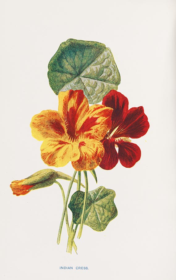  Botanik - Hulme, Familiar garden [&] wild flowers, 4 Bde. - Thornton, 2 Bde. - Th. Martyn. - Zus. 4 Werke in 7 Bänden.