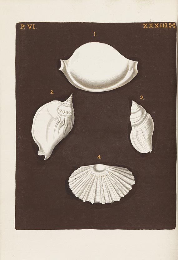 Georg Wolfgang Knorr - Verlustiging der oogen en van den geest. 6 Teile in 2 Bänden - 