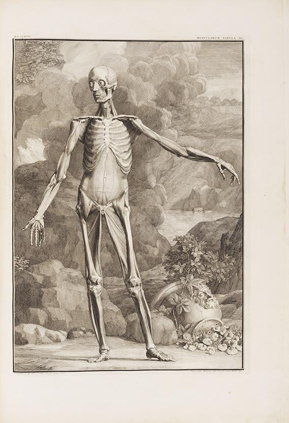Bernhard Siegfried Albinus - Tabulae sceleti et musculorum corporis humani - 