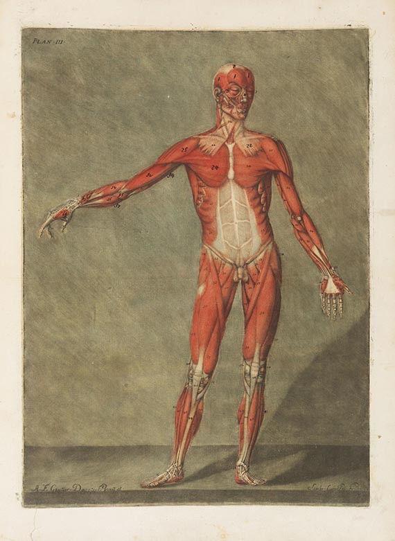 Arnauld-Eloi Gautier-Dagoty - Cours complet d’anatomie - 