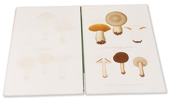 Elias Magnus Fries - Icones selectae Hymenomycetum nondum delineatorum. 2 Bde. in 18 Lieferungen - 