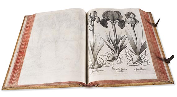 Basilius Besler - Hortus Eystettensis. Verlagseinband - 