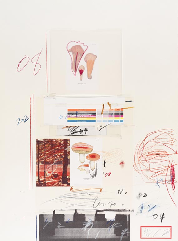 Cy Twombly - Natural History Part I, Mushrooms - 