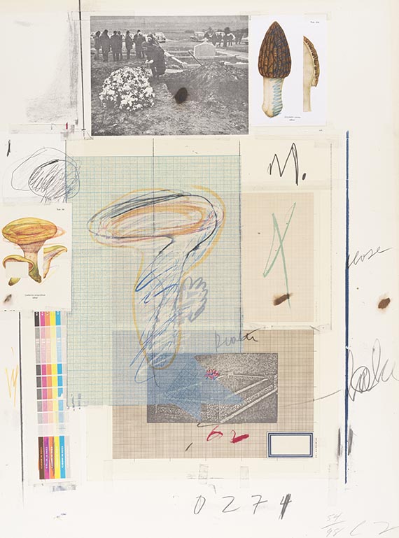 Cy Twombly - Natural History Part I, Mushrooms - 