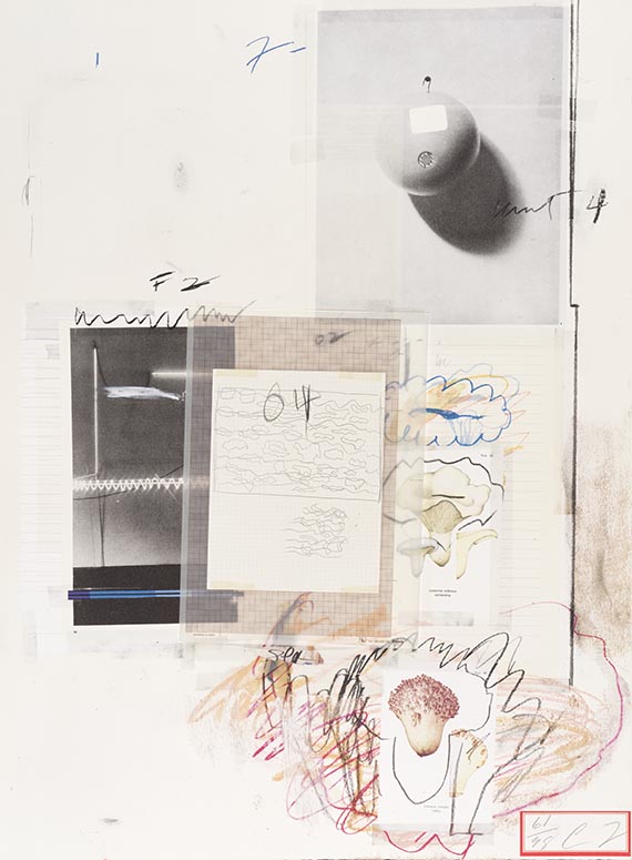 Cy Twombly - Natural History Part I, Mushrooms - 