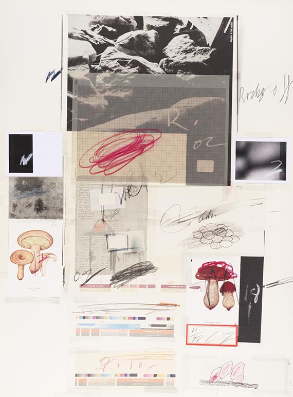 Cy Twombly - Natural History Part I, Mushrooms - 