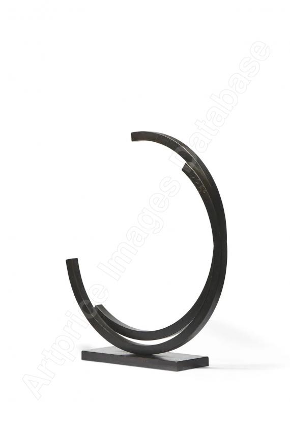 BERNAR VENET226&deg;