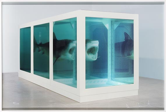 Damien Hirst - The Physical Impossibility of Death in the Mind of Someone Living (Lenticular Shark) - Frame image