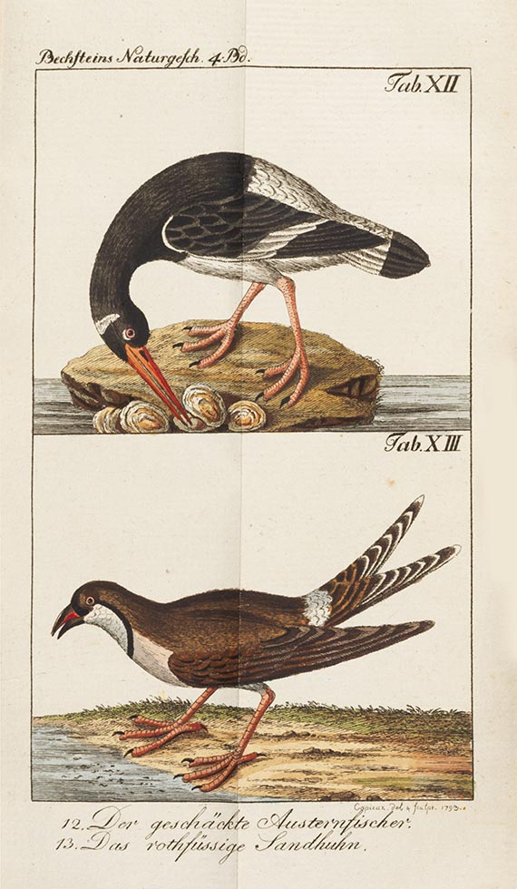 Johann Matthäus Bechstein - Gemeinnützige Naturgeschichte Deutschlands