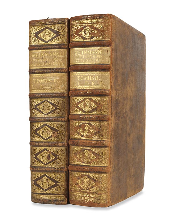 Johann Wilhelm Weinmann - Phytanthoza-Iconographia Bde. I-II (von 4) - 