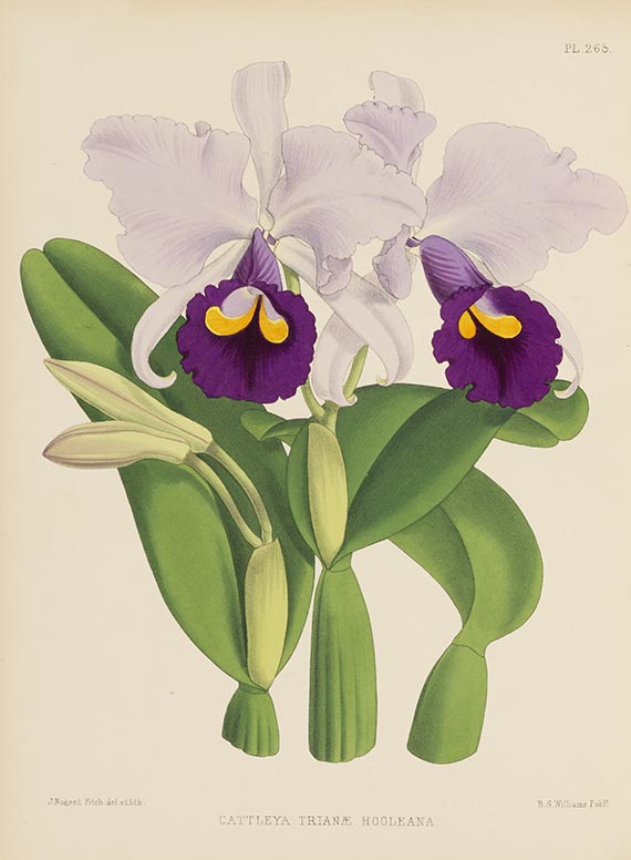 Robert Warner - Orchid Album, 5 Bände der Reihe