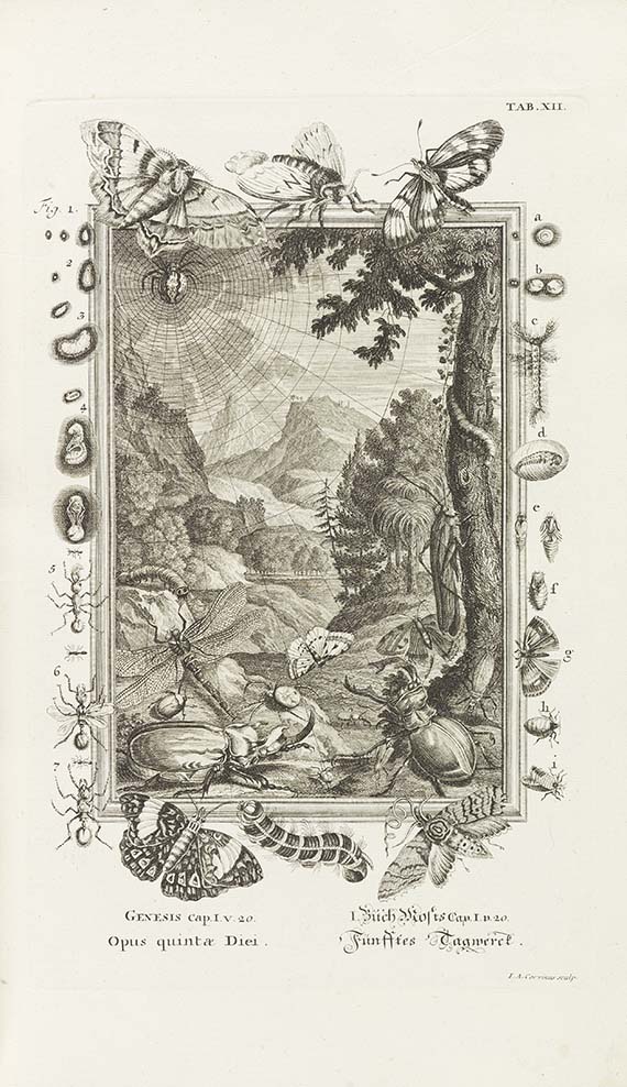 Johann Jakob Scheuchzer - Geestelyke natuurkunde. 15 in 8 Bdn. - 