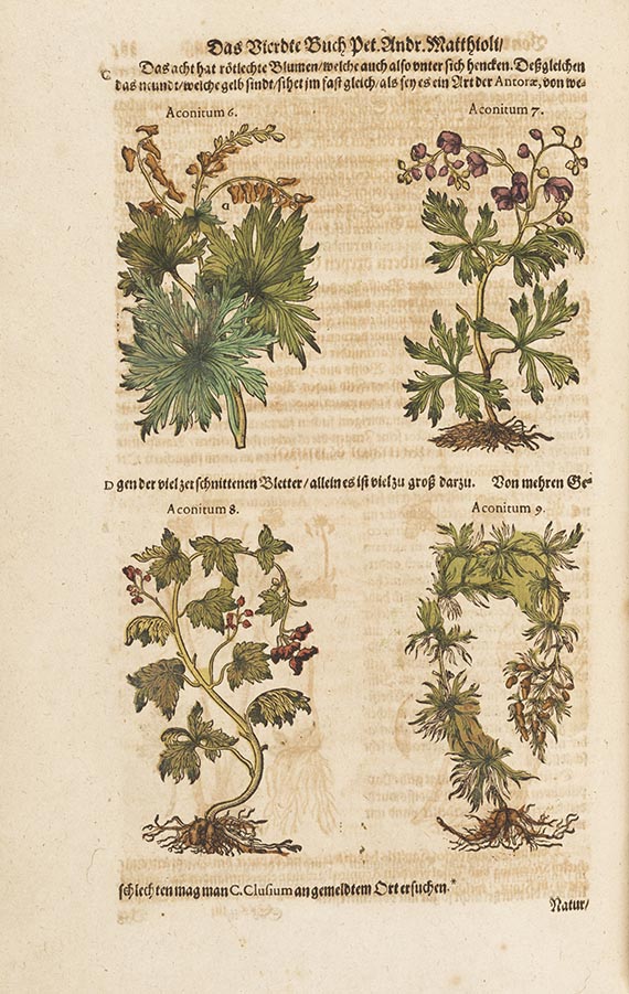 Pietro Andrea Mattioli - Kreutterbuch - 