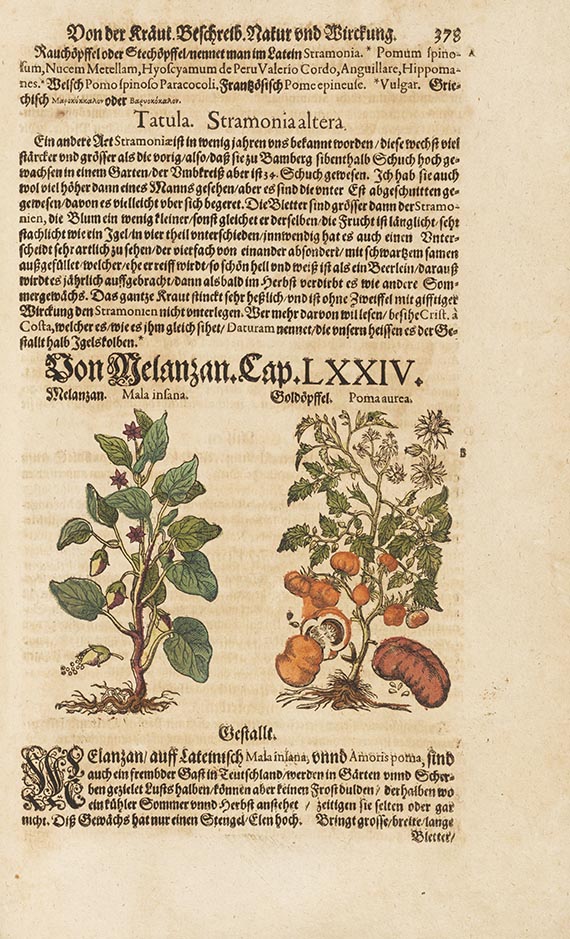 Pietro Andrea Mattioli - Kreutterbuch - 