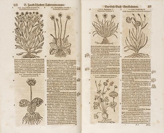 Jacob Theodor Tabernaemontanus - Kräuter Buch. Dabei: Lonicer (Fragment)