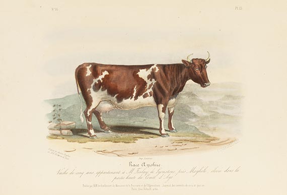 David Low - Histoire naturelle-agricole des animaux domestiques de l'Europe