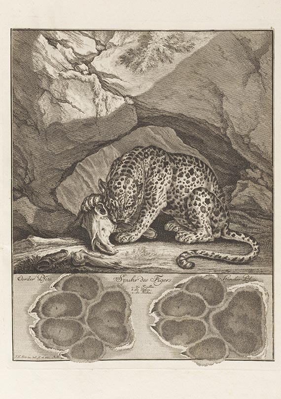 Johann Elias Ridinger - Abbildung der jagtbaren Thiere
