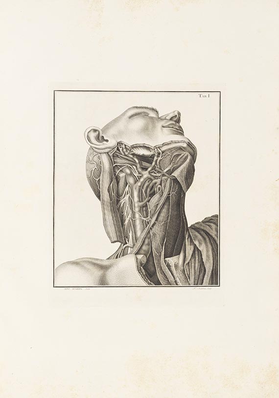 Antonio Scarpa - Tabulae neurologicae