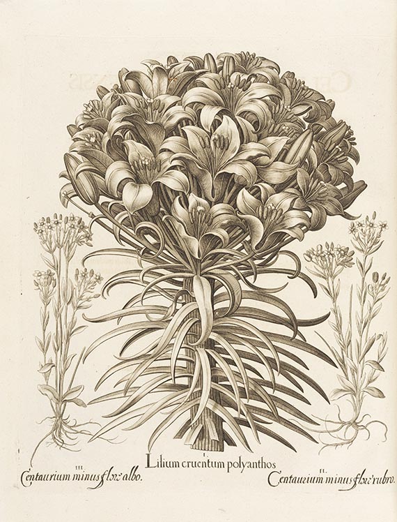 Basilius Besler - Hortus Eystettensis. 2 Bände - 